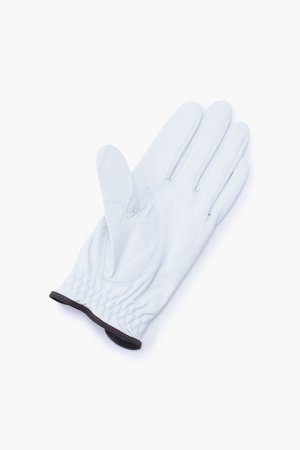 画像2: ブリーフィング ゴルフ BRIEFING MENS PREMIUM LEATHER GLOVE-L（左手用）{-BDS}