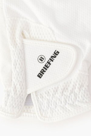 画像2: ブリーフィング ゴルフ BRIEFING LIGHT MESH GLOVE-L（左手用）{-BDS}