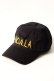 画像1: 【 50%OFF セール｜24,200円→12,100円】 Haculla ハキュラ THUNDER HACULLA DAD HAT{-AIA} (1)