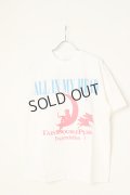 {SOLD}TAIN DOUBLE PUSH タインダブルプッシュ TWO FACED SHORT SLEEVE T-SHIRTS（リバーシブル仕様）{-BBA}