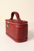 画像3: 【 50%OFF セール｜42,900円→21,450円】 グレースコンチネンタル｜GRACE CONTINENTAL カービングトライブス CARVING TRIBES  Mini EmbossVCBag{-BCA} (3)