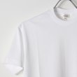 画像3: {SOLD}【Regular item】BLAMINK ブラミンク コットンクルーネック刺繍ショートスリーブTシャツ{7917-222-0010-WHT-BJS} (3)