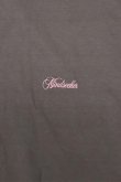 画像3: 【 10%OFF セール｜16,500円→14,850円】 mindseeker マインドシーカー Script Logo Embroidery BIG TEE{-BDS} (3)