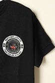 画像5: {SOLD}TAIN DOUBLE PUSH タインダブルプッシュ CHERRY CIRCLE SHORT SLEEVE T-SHIRTS{-BCS} (5)