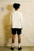 画像10: TAIN DOUBLE PUSH タインダブルプッシュ DOUBLE PUSH LONG SLEEVE T-SHIRTS{-BES} (10)