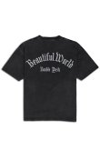 画像2: TAIN DOUBLE PUSH タインダブルプッシュ DREAMIN’ SHORT SLEEVE T-SHIRTS{-BES} (2)