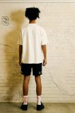 画像9: TAIN DOUBLE PUSH タインダブルプッシュ DREAMIN’ SHORT SLEEVE T-SHIRTS{-BES} (9)